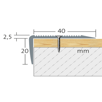 Treppenstufenprofil Protect 45/20